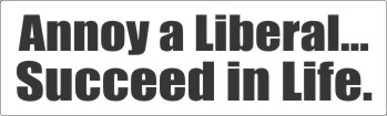 Annoy a Liberal, Succeed in Life - Bumper Sticker