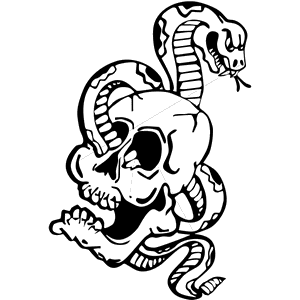 Snake Skull Decal 017