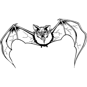 Bat Mascot Decal B025