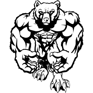 Bear  Mascot Decal B028