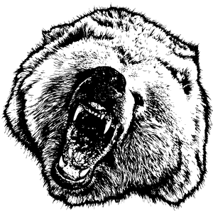 Bear Mascot Decal B030