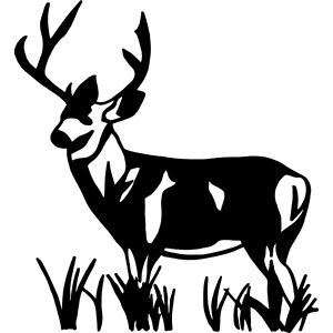 Mule Deer Standing Decal 040