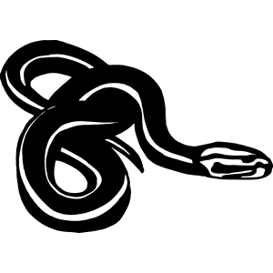 Black Snake Decal 0