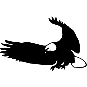Flying Bald Eagle Decal 131