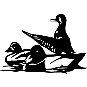 Duck Decal 147