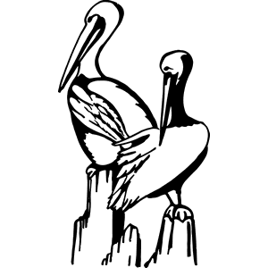 Pelican Decal 154