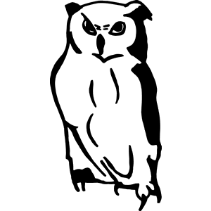 Owl Decal 157