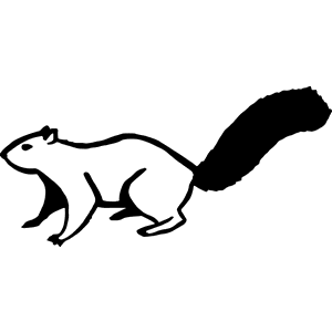 Squirrel Decal 169