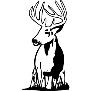 Whitetail Deer Head Decal 195