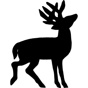 Whitetail Deer with Head Tilted Back Decal 045