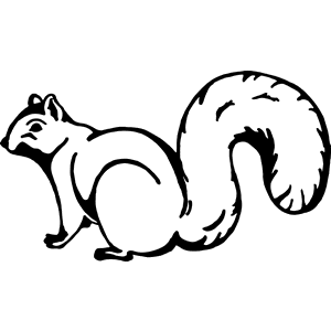 Squirrel Decal 168