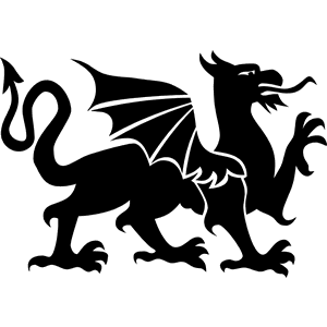 Dragon Griffin Decal 005
