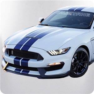 Ford Mustang Windshield Outline Decal