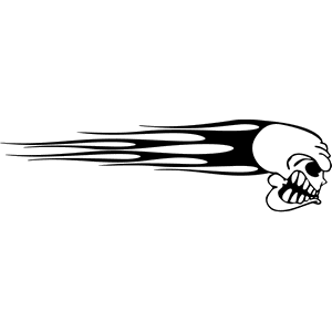 Flames Skull Decal 031
