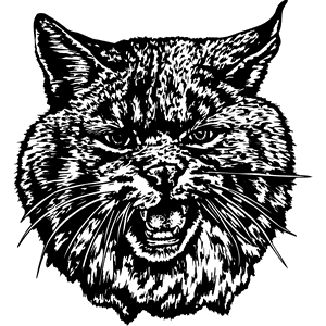 Wild Cat Mascot Decal B055