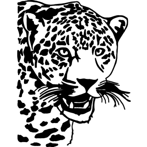 Leopard Cat Head  Decal 008