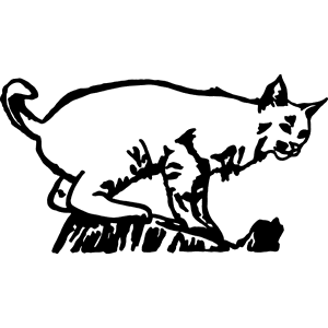 Mountain Cat on Ledge Decal 018
