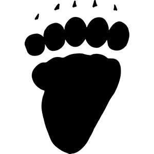 Striped Skunk Track Decal 030