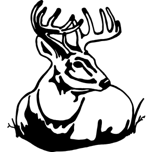 Whitetail Deer Head with Rack Decal 041