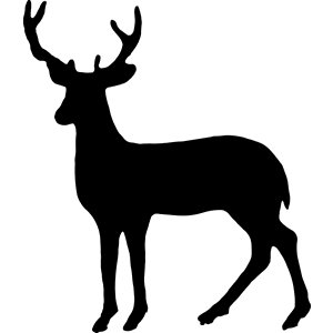 Mule Deer Standing Decal 043