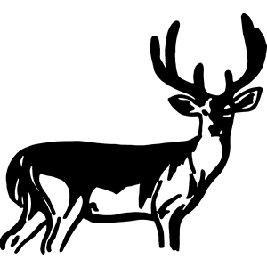 Mule Deer with Antlers Decal 046