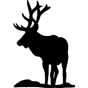 Elk with Antlers Decal 049