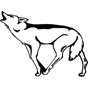 Coyote Howling Decal 058