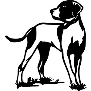Dog Looking Back Decal 065