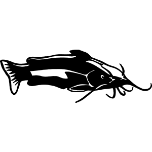 Cat Fish Decal 086