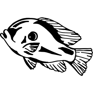 Bluegill Fish Decal 088