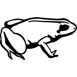 Frog Decal 118
