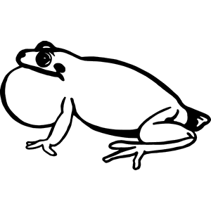 Bull Frog Decal 121