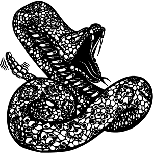 Snake Mascot Decal B416