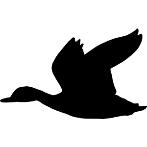 Duck Decal 145