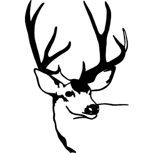 Mule Deer Head Decal 194